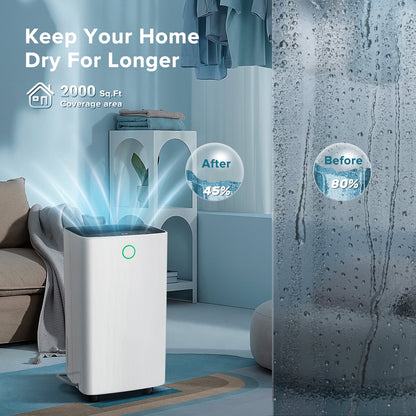 KISSAIR 9 Pints Dehumidifier, 1000 Sq. Ft Coverage Area with 24H Timer, Timer Continuous & Dry Mode, Portable Dehumidifier for Basement/Bathroom/Laundry Room