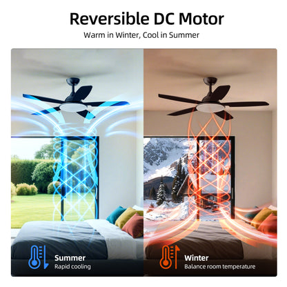 KISSAIR 52 In 5 Baldes Ceiling Fan with Light and Remove Control 6 Speeds & Reversible DC Motor,3 Color Dimmable LED, Ultra Quiet 45dB, Timer Function,Black