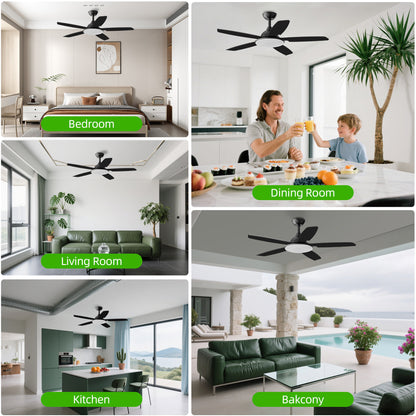 KISSAIR 52 In 5 Baldes Ceiling Fan with Light and Remove Control 6 Speeds & Reversible DC Motor,3 Color Dimmable LED, Ultra Quiet 45dB, Timer Function,Black